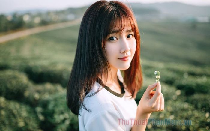 Quản lý đội nhóm
